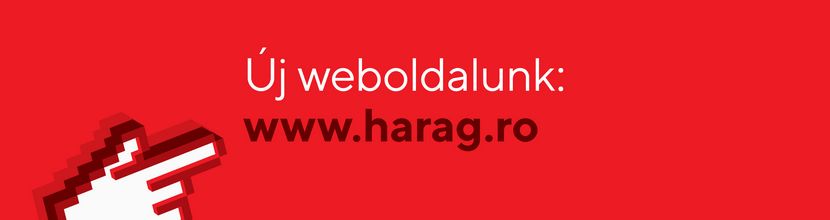 Teatrul de Nord logo